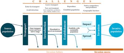 Can Cognitive Ability Give Invasive Species the Means to Succeed? A Review of the Evidence